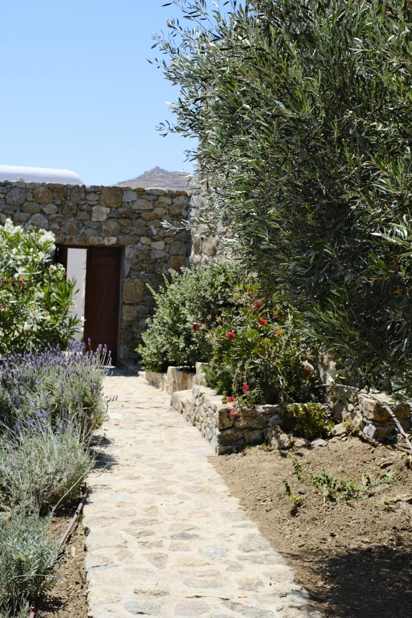 Villa Nautilia - Luxury Suites And Cottages 卡拉法蒂斯 外观 照片